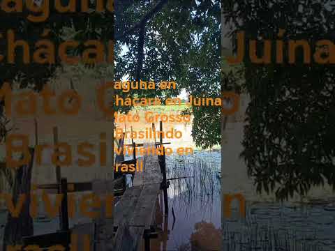 Laguna en Chácara en Juína, Mato Grosso #Brasilindo #viviendo en Brasil