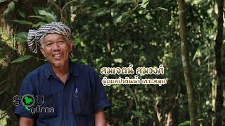 สูงวัยใจยังเจ๋ง เกาะสมุย