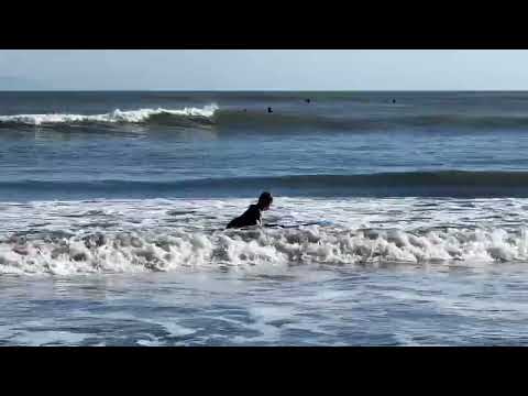 Bolinas beach Spring 2022