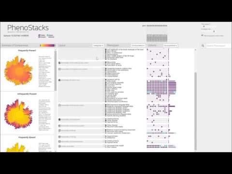PhenoStacks: Cross-Sectional Cohort Phenotype Comparison Visualizations