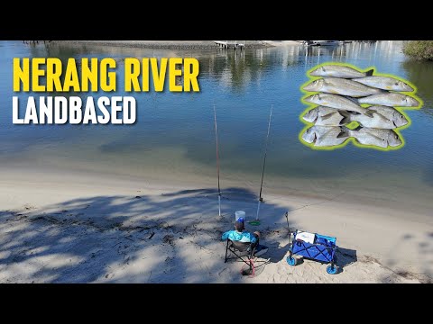 Land Based Fishing | Nerang River Whiting