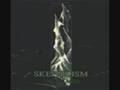 Skepticism - The March and the Stream