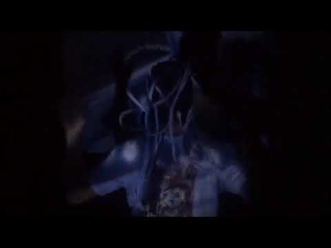 PINCET - ALIVE OR DEAD