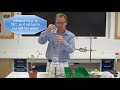 Testing A Leaf For Starch For IGCSE Biology