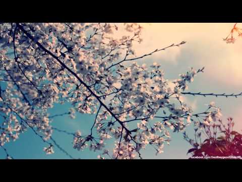 Hoyaa ft. Aminda - Midnight Forest (JayB Remix) [Pro-Motion Records]