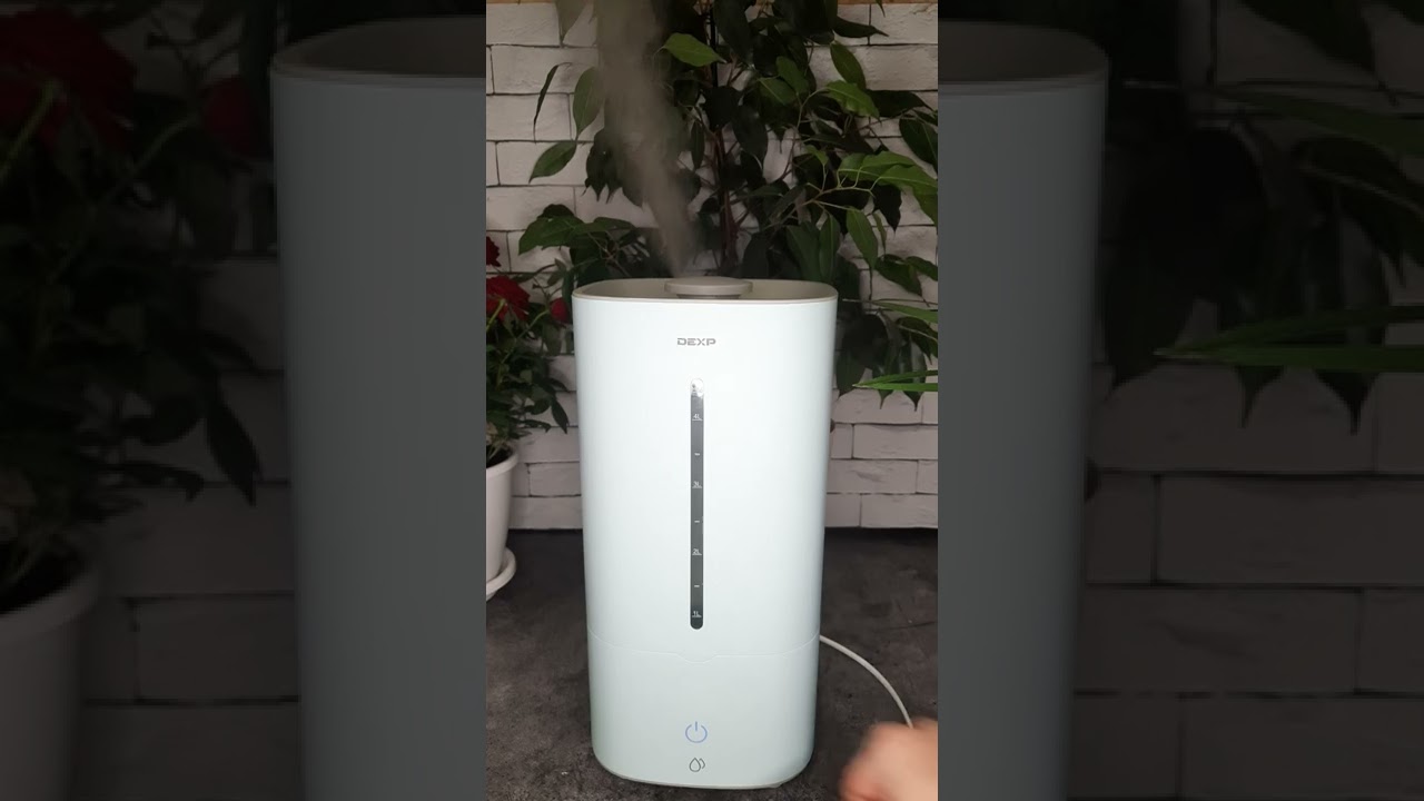 увлажнитель воздуха dexp xp500. увлажнитель воздуха casalinga hm-50. Hm-450 увлажнитель воздуха. Dexp hm-450. увлажнитель воздуха dexp hw-370.