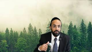 מסכת חולין דף ט עמוד א • הלכות שחיטה • הרב ישי יפת (הרב ישי יפת) - התמונה מוצגת ישירות מתוך אתר האינטרנט יוטיוב. זכויות היוצרים בתמונה שייכות ליוצרה. קישור קרדיט למקור התוכן נמצא בתוך דף הסרטון