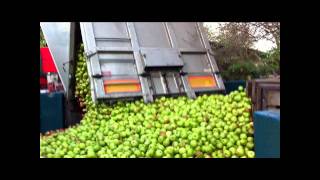 preview picture of video 'Its Cider Making Season... (Pt1) [HD]'