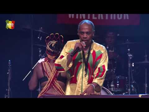Femi Kuti & The Positive Force @ Afro-Pfingsten Festival 2018