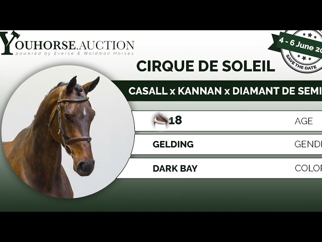 Cirque de Soleil
