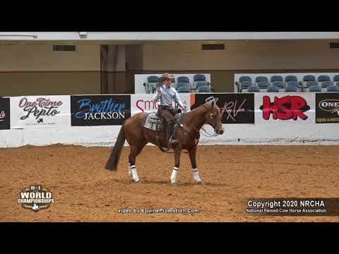 Unos Smokin Chic ridden by Mason T. Beal  - 2020 Celebration of Champions (Youth Ltd., Prelims)