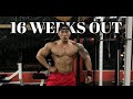 16weeks out|Road to ifbb pro thailand|Chest work out tips