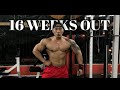 16weeks out|Road to ifbb pro thailand|Chest work out tips