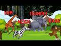 ABC Safari Animals Sounds Song For Kids Learn Animal Names And Sounds Compilation 30mins
