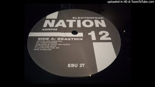 Nation 12 - Electrofear (Beastmix)