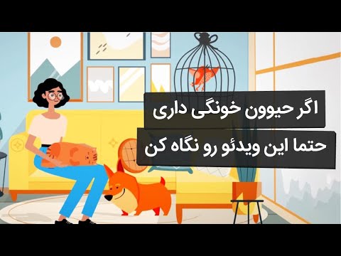 Petpors دامپزشک همراه پت شما