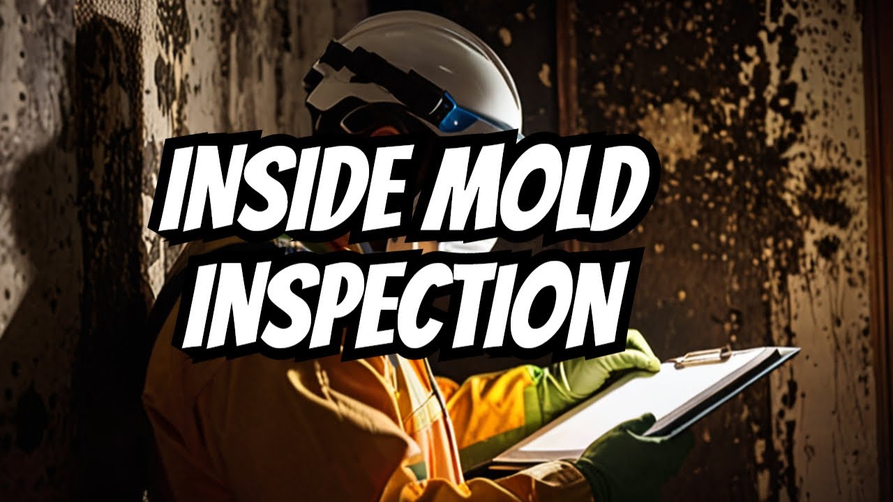 What Happens During a Mold Inspection | o2 Mold Testing