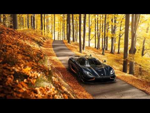 SIMTEM - What is This (Angry Tableflip Remix) (Bass Boosted)