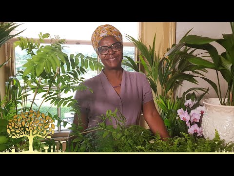 Gardeners' World 2024 Ep31 | Clematis for Shade, Garlic Trials & Healing Through Gardening