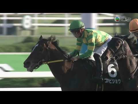 2019 Heijokyo Stakes - Koma Bisho (飛蹄美態) - Y.Kawada