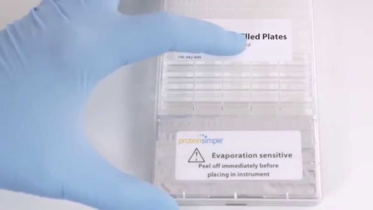 Wes Training Chapter 4: Pipette your plate and load into Wes