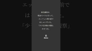 エッフェル塔の前でポーズを決めること。それがこの国の「少子化対策の視察」だ。#自民党 #少子化対策 #政党交付金 #税金 #国会議員