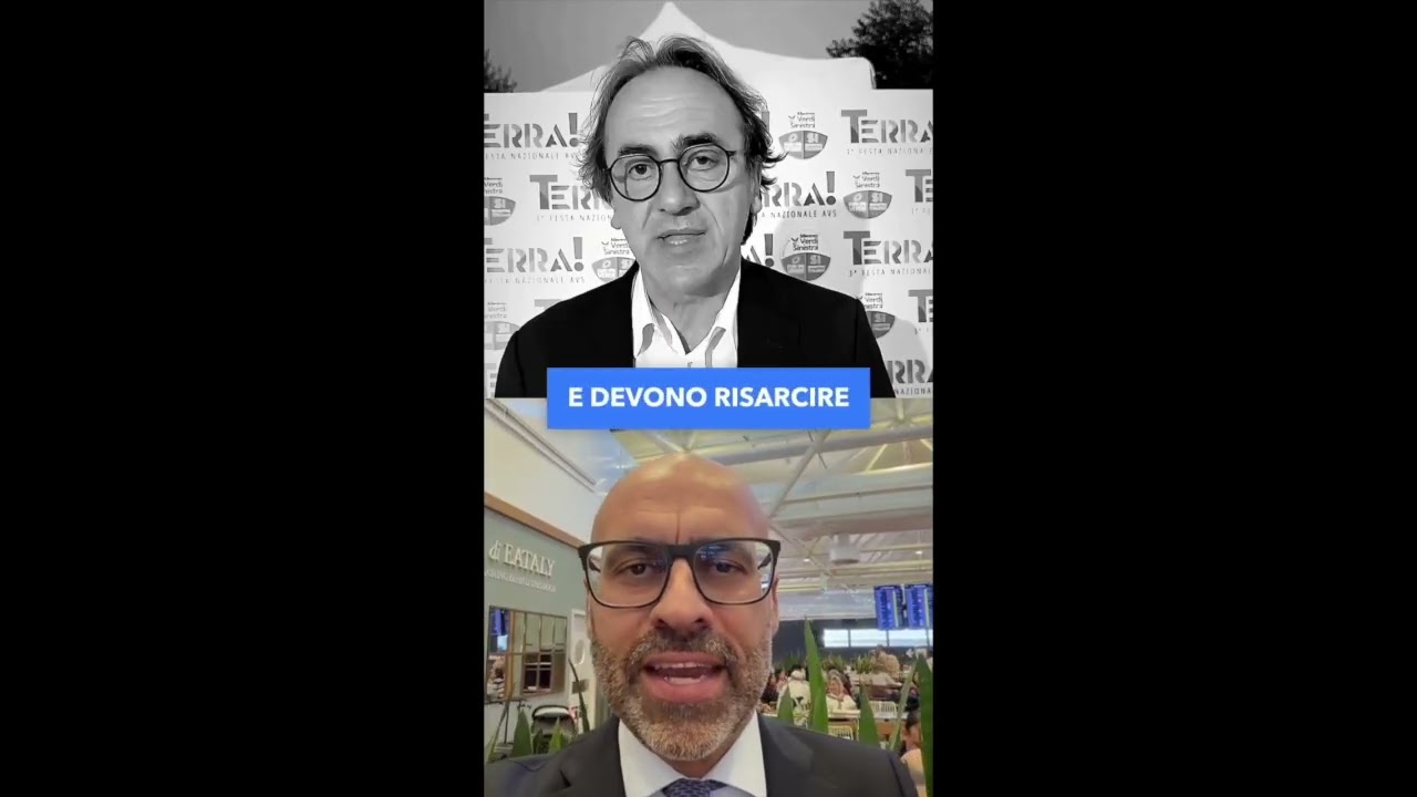 L'EUROPARLAMENTARE DI FRATELLI D'ITALIA MARCO SQUARTA