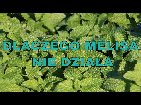 Leki na zwiększenie potencji po 60 latach Hammer of Thor Marvel zrobić