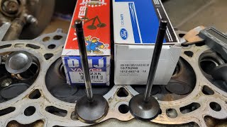 2013 Ford Edge 2.0 OEM vs DNJ brand intake valves
