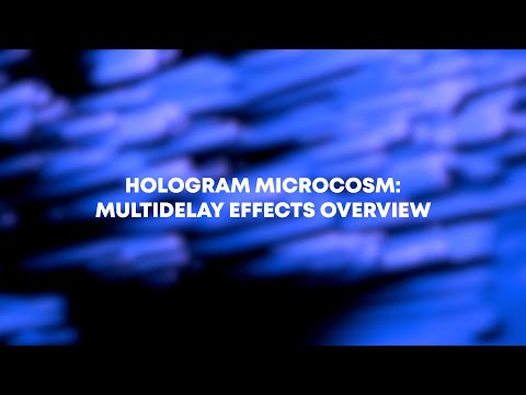 Hologram Microcosm: Multidelay Presets Overview