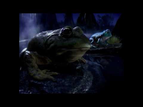 ⁣Bud Light Frogs #BudLightBeer