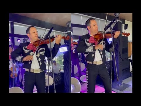 Mariachi México Lindo/El rey de la huasteca (Solo de violín) 🎻🎶🔥