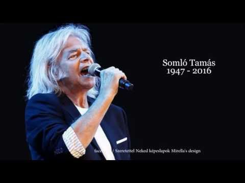 Somló Tamás - Léghajó
