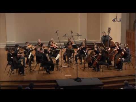 Mozart: Eine Kleine Nachtmusik, I. Allegro | New Century Chamber Orchestra
