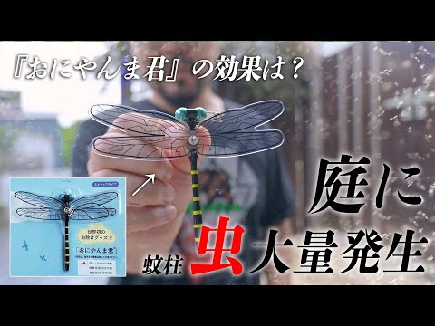 鶏のワクモの治療法は何ですか?イエダニを駆除するために取るべき手順  庭園