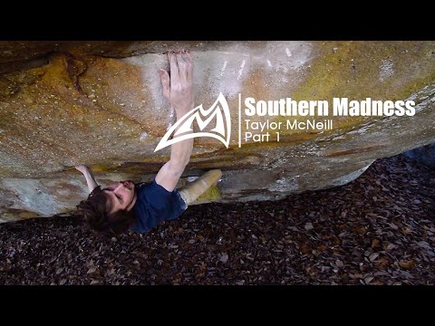 Southern Madness | Taylor McNeill | Part 1