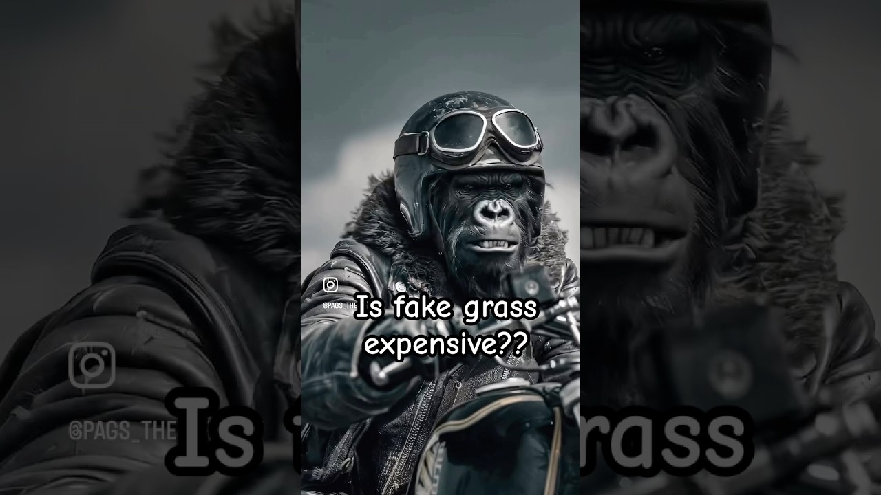 Is Fake Grass Expensive? Real Cost Breakdown