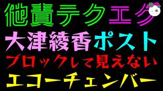 【大津綾香】ブロックして見えないｗ『他責テクがエグい』エコーチェンバーを身をもって表してしまう