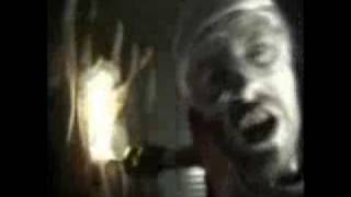 Parazitii-De ziua ta