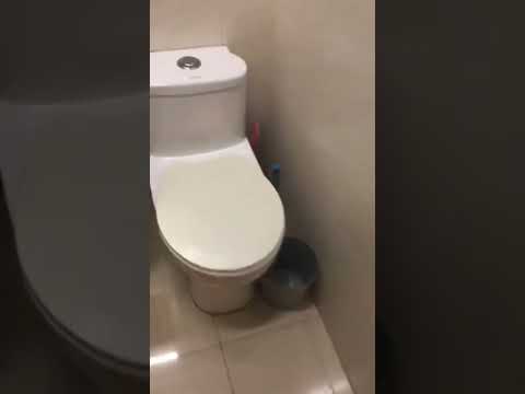 Greenery Plaza Youtube Video