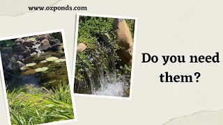 How important are plants for pond filtration?