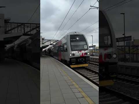 prujezd sviste elfu duo na manipulaku s piskajdou