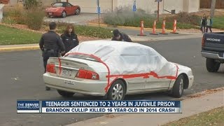 Teenager sentenced to 2 years in juvenile prison