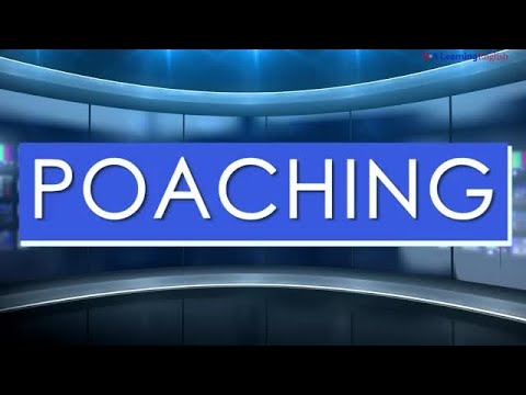 News Words: Poaching