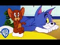 Tom Y Jerry En Latino Dibujos Animados Clásicos 115 WB Kids