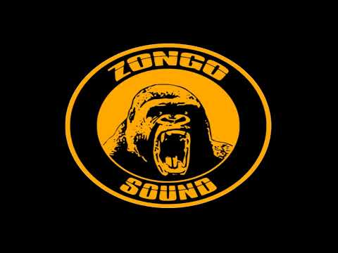 ZONGO SOUND - PHOENIX