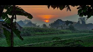 شرح الياقوت النفيس ٢٤ محرَّمات الإحرام   تعريف البيع image