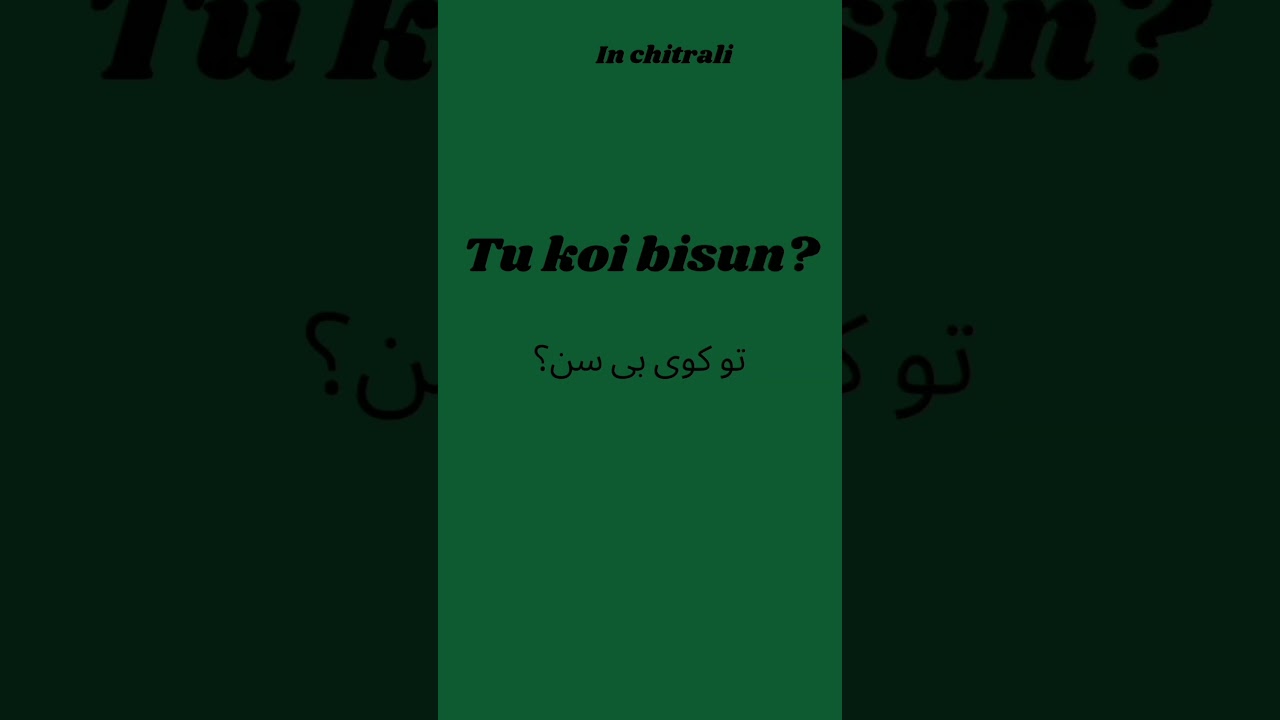 English ||Chitrali || Pashto || Learn new languages 2023 #chitralinewsong #english