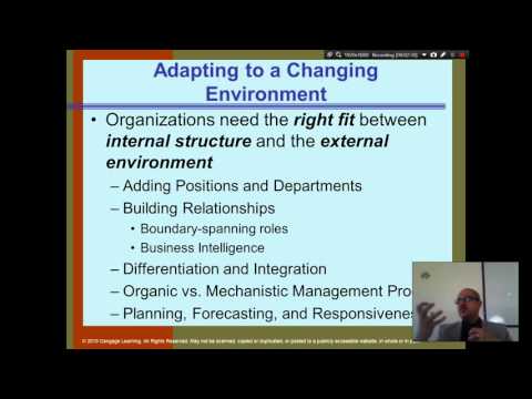 Organization Theory and Design Daft Chapter 1 Part 1 Introduction