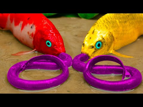 Cá Chép Đỏ Và Cá Trê Tranh Nhau Nuốt Lươn, Koi Vàng Ăn Lego - Primitive cooking - Stop Motion ASMR